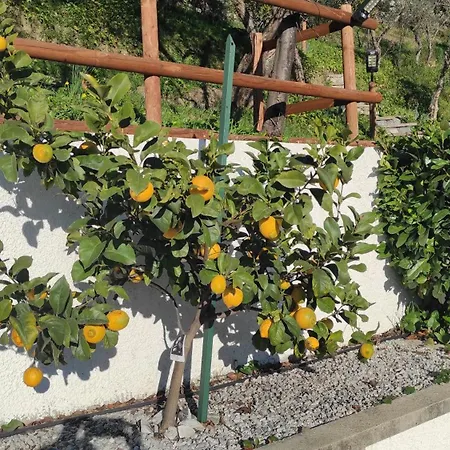 Holiday home Villino Isabella *