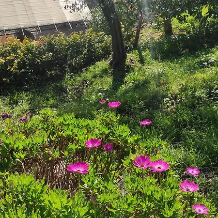 Holiday home Villino Isabella